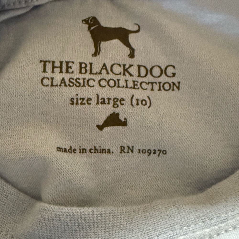 NWT!-{The Black Dog}-Size: L(10)-Kids 2020 Classic SS Tee in Gulfstream - Picture 5 of 5